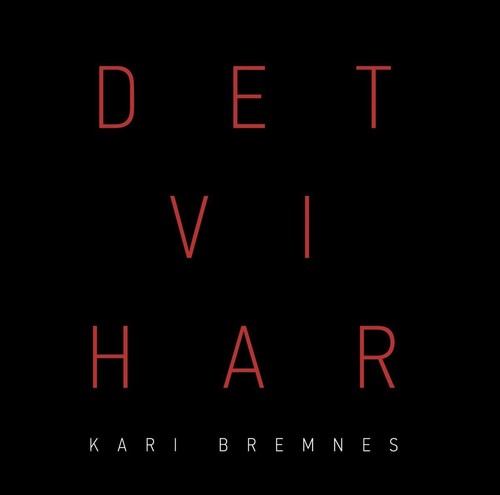 Kari bremnes det - kari, vi